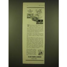 1924 St. Louis Chamber of Commerce Ad - The St. Louis of Today