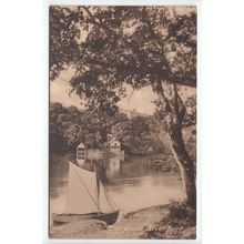 Sharpham River Dart Devon Postcard 21619