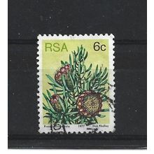 SouthAfrica.SG419 6c Protea Canaliculata.Fine Used.Sep25c
