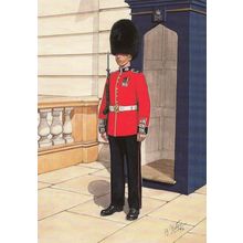 Guardsman Scots Scottish Guard in London 1992 Military Uniform Postcard