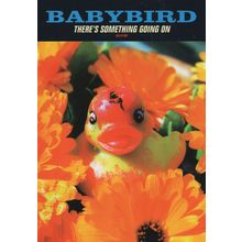 Babybird Pop Group There's Something Going On Promotional Card