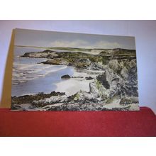TREVELGUE HEAD, NEWQUAY,CORNWALL unused postcard by F. Frith 1950s =