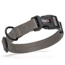 Nylon Collar W1" L16"-24" Grey