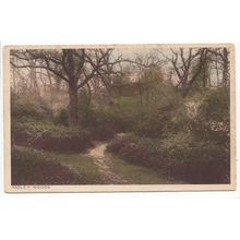 Hadley Woods Hertfordshire Local Publisher T William Stevens Postcard