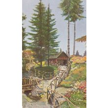 Bulgaria La Belle Pinete Di Vitocha Vintage Postcard