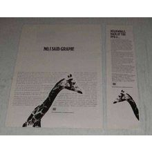 1969 Information International Ad - No, I said Graph