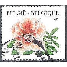Belgique 1997 Michel 2784BDR O Cote (2008) 2.20 € Rhododendron Cachet rond