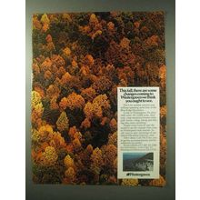 1984 Wintergreen Virginia Tourism Ad - This Fall