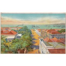 Nectar Tea Company Colombo Antique Advertising Postcard
