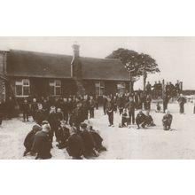 Standon Farm Staffordshire Postcard