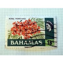 Used postage stamp Bahamas featuring the Royal Poinciana flower and queen