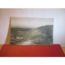 A RURAL SCENE unused antique postcard, C.W.Faulkner & Co series 1611 =