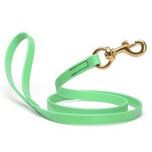 Dog Pet Leash with Brass Hardware W 5/8” L 4 FT Sea Foam Green