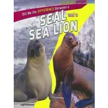 A Seal and a Sea Lion
