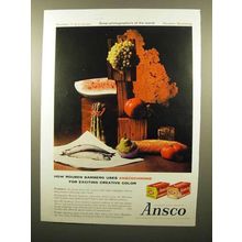 1960 Ansco Anscochrome Film Ad - Rouben Samberg