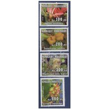 Madagascar 2010 Fleurs Flowers Physena Sessiliflora Asteropeia Amblyocarpa MNH**