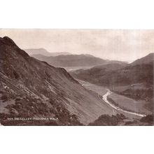 PRECIPICE WALK, DOLGELLEY. N. Wales unused postcard c.1910 #