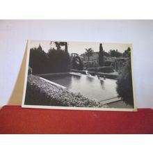 "THE OASIS" GARDENS, QUEENSLAND unused postcard RP =