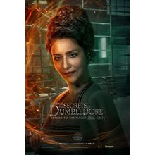 Fantastic Beasts_ The Secrets of Dumbledore (2022)_17 Movie Film Poster Canvas i