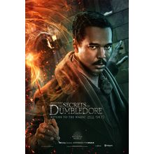 Fantastic Beasts_ The Secrets of Dumbledore (2022)_9 Movie Film Poster Canvas ic