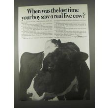 1967 Ohio Edison Company Ad - A Real Live Cow