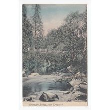Grenofen Bridge near Tavistock Postcard Devon