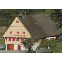 Cafe Martinshof Gasthof Kaltbrunn Switzerland Postcard