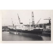 Cheshire Motor Vessel Bibby Line Ship Rare Vintage Photo