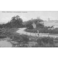 Broadmere Common River Pond Henfield Sussex Postcard