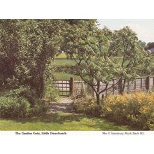 Little Dewchurch Country Garden Herefordshire Womens Institute Postcard