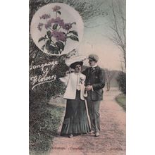 Language Of Flowers Heliotrope Devotion Old Postcard