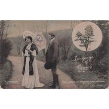Language Of Flowers Mignonette Lovers Charms Qualities Old Postcard