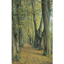 Pskov Pushkin Memorial Zone Anne Kern Walk Russian Postcard