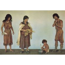 2500BC Neolithic Family Leicester Museum Exhibit Rare Postcard