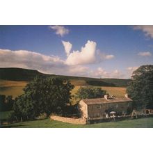 Tawney Fors Hawes Postcard