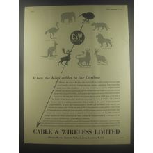 1954 Cable & Wireless Limited Ad - When the Kiwi cables to the Caribou