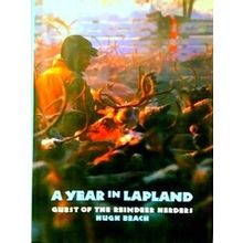 A Year In Lapland