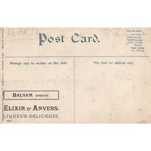 Elixir D'Anvers Old Advertising Postcard