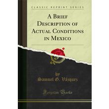 A Brief Description of Actual Conditions in Mexico (Classic Reprint)