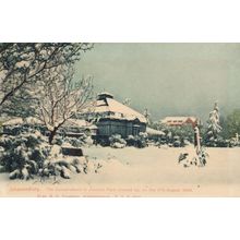 Joubert Park Conservatory Winter Disaster Johannesburg South Africa Postcard