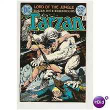 TARZAN # 227 ( DC series)