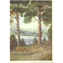 Art FRANK WALLACE "The Roebuck" Postcard (Royle PC.104)
