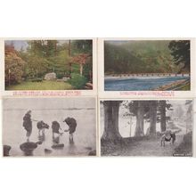 Japan Hakone Lake SunnyNikko Toshogu 8x Antique Japanese Postcard s