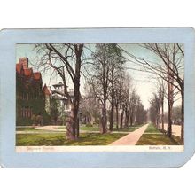 New York Buffalo Delaware Ave Street Scene ny_box4X1~2910