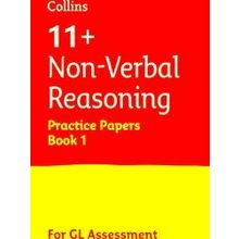 11 Succ Non Verb Pract Test Paper