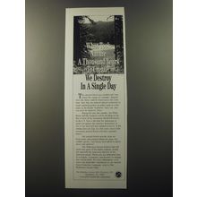 1992 The Wilderness Society Ad - What took nature a thousand years to create