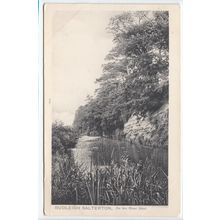 On the River Otter Budleigh Salterton Devon Postcard Peacock Brand Series