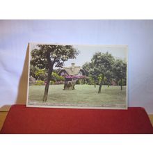 THE SWISS COTTAGE, FENSTANTON, HUNTINGDONSHIRE unused vintage postcard by Tuck =