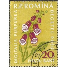 ROMANIA, FLOWER, Foxglove, yellow 1959, 20bani, #2