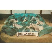 Sea Horses Weymouth Dorset Sand Model Artist Hand Signed 1970s Postcard